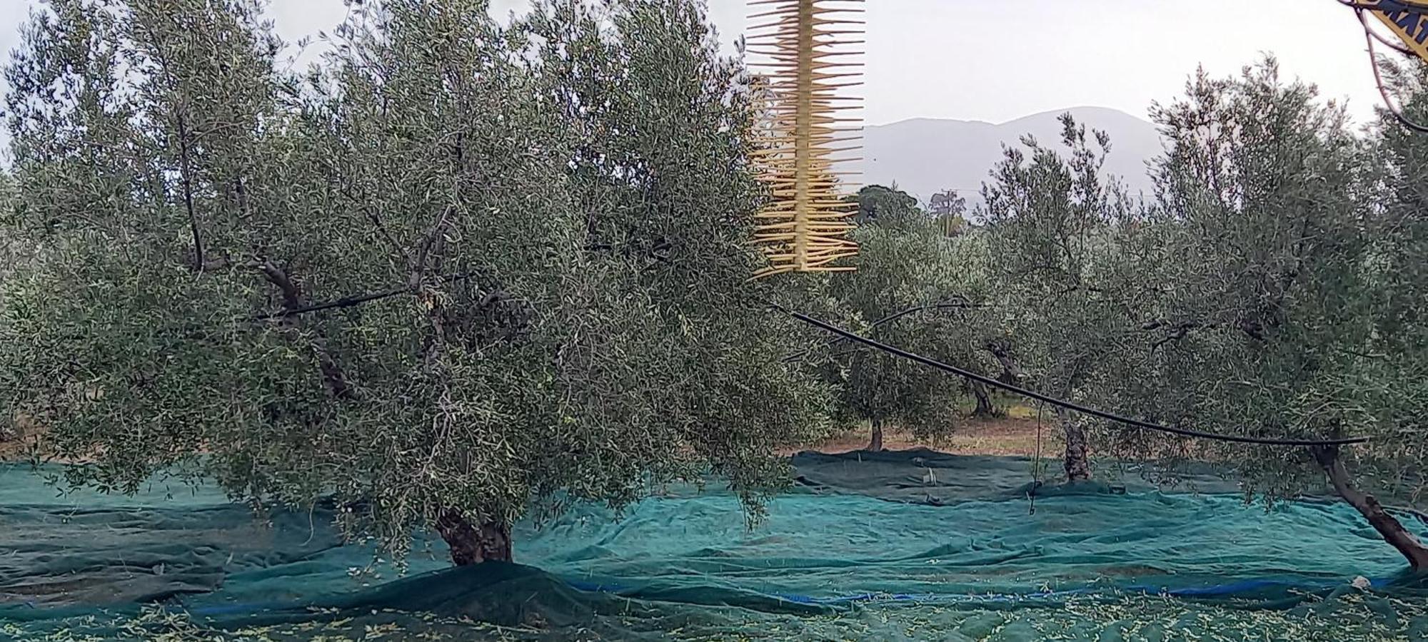 Pigadhia  Ktima Develekou 아파트 외부 사진